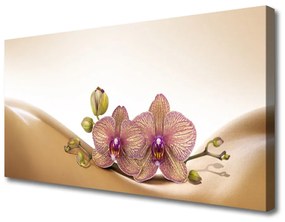 Quadro su tela Alberi della pianta della natura 100x50 cm