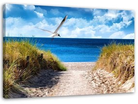 Foto su tela Spiaggia Dune di mare Gabbiani  Dimensioni 100x70