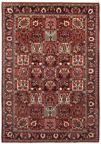 Bakhtiar Tappeto 210x300 (Iran) Annodato A Mano