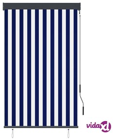 vidaXL Tenda a Rullo per Esterni 100x250 cm Blu e Bianca