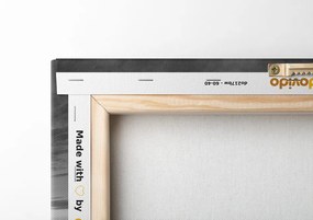 Quadro su tela – Alba sopra il prato con tulipani in bianco e nero