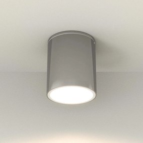 Applique da soffitto Cilindrica PAR30 IP54 in Alluminio e Vetro INOX