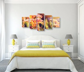 Quadri 5 pezzi – Bellissimi fiori in giardino