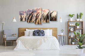 Quadri 5 pezzi – Erba al tramonto