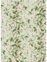 Cole & Son Carta da parati Fuchsia - Powder Pink and Olive on Soft Spring Green