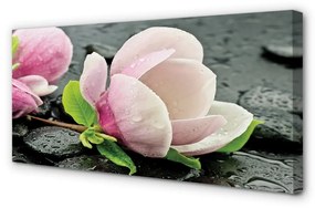 Quadro su tela Pietre magnolia 100x50 cm