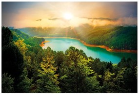 Carta da parati – Fiume nel mezzo della foresta