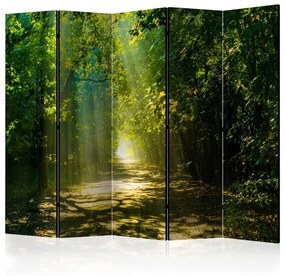 Paravento Road in Sunlight II [Room Dividers]