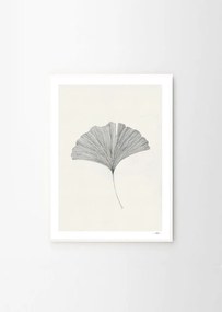 Poster 50x70 cm Ginkgo Leaf – Ana Frois – The Poster Club