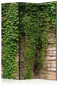 Paravento design Muro d'edera - mattoni chiari con foglie verdi