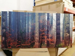 Quadro su tela – Mistero della foresta