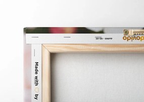 Quadro su tela – Pieno di rose