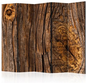 Paravento Vecchio albero II (5 pezzi) - composizione marrone semplice