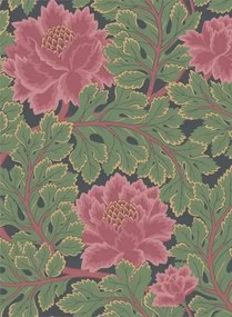 Tapete Aurora von Cole & Son - Rose & Forest on Charcoal