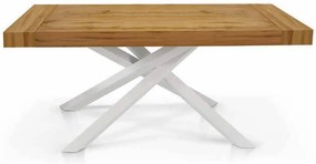 FLORA - tavolo in legno e acciaio 180 x 100