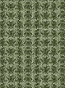 Coordonne Carta da parati Geometricum - Moss