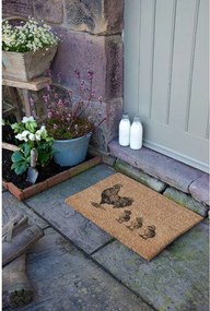 Zerbino in fibre di cocco 40x60 cm Chickens and Chicks – Artsy Doormats