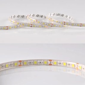 Striscia LED 5m 28W/12V IP65 6500K