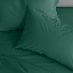 Federe per cuscino in set in percalle 2 pz 75x50 cm Easy Iron Percale – Catherine Lansfield