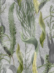 Mindthegap Carta da parati Aquatic Plants - WP20718