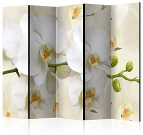 Paravento Orchid Branch II [Room Dividers]