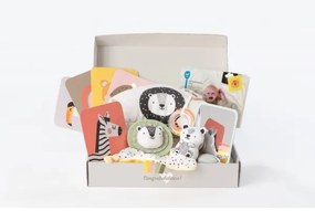 Taf Toys - Confezione regalo HELLO BABY