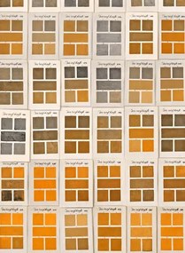 Mindthegap Carta da parati Traite des Couleurs - WP20414