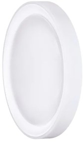 Solight WO8015 - Plafoniera LED RGB dimmerabile FLOCO LED/30W/230V+RGB/6W+RC d.40cm