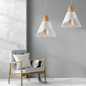 Lampada Da Soffitto Pensile Scandinavo Metallo APP226-1CP