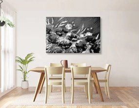Quadro su tela – Papaveri di campo dipinti in bianco e nero