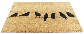Zerbino in fibre di cocco 60x90 cm Birds On a Wire – Artsy Doormats