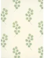 Tapete Honesty von Paint & Paper Library - Chelsea Green
