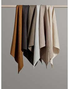 Tovagliolo di lino nero, 42 x 42 cm Lineo - Blomus