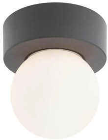 Redo 90641 - Plafoniera da esterno BULK 1xE27/28W/230V IP44 antracite