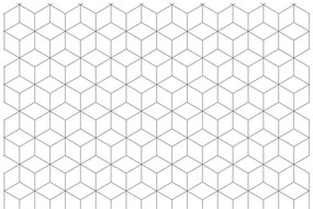 Carta da parati – Cubi in bianco e nero