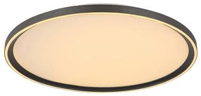 Globo 48802-48 - Plafoniera LED dimmerabile DUBLIN LED/48W/230V + +TC