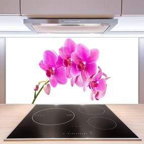 Rivestimento parete cucina Orchidea Fiore di orchidea 100x50 cm