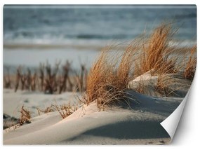 Carta Da Parati, Spiaggia mare dune paesaggio