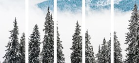 Quadri 5 pezzi – Alberi di pino innevati