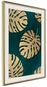 Poster  Gilded Monstera Leaves  Cornice Quadri Cornice d'oro con passe-partout, Larghezza x Altezza Home decor 20x30