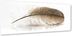 Immagine su tela, 50 x 125 cm Glasspik Wings - Styler