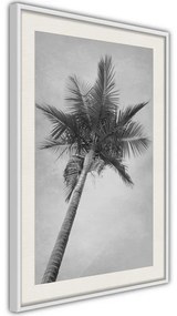 Poster  Memories from the Paradise  Cornice Quadri Cornice nera con pass-partout, Larghezza x Altezza Home decor 20x30