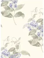 Tapete Madras Violet von Cole & Son - Violet & Grey