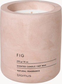 Candela profumata al fico Fraga