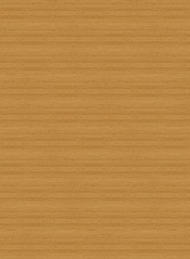 Arte International Carta da parati Line - Sunburst