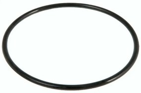 BESTWAY - P6559 - Guarnizione boccia filtro a sabbia 58404-58199-58256