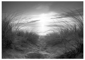 Fotomurale  beach (black and white)  Colore bianco e nero, Dimensioni e Misure 250x175