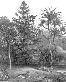 Rebel Walls Carta da parati panoramica Jungle Land - Original A