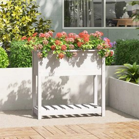 Fioriera Con Mensola Bianca 82,5x34,5x81cm Legno Massello Pino /