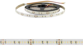 Striscia LED Professional CCT (Bianco Variabile) 2216/240 - IP20 - 18W/m - 5m - 24V Colore Bianco Variabile CCT